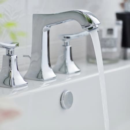 White Scale Problem Image